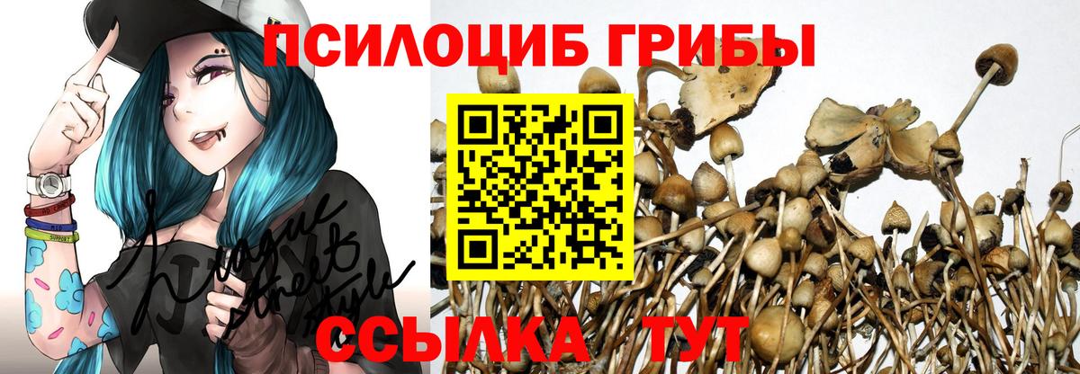 Галлюциногенные грибы Psilocybine cubensis  Галлюциногенные грибы Psilocybine cubensis  Рассказово  Вход с VPN 